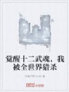 觉醒十二武魂,我被全世界猎杀